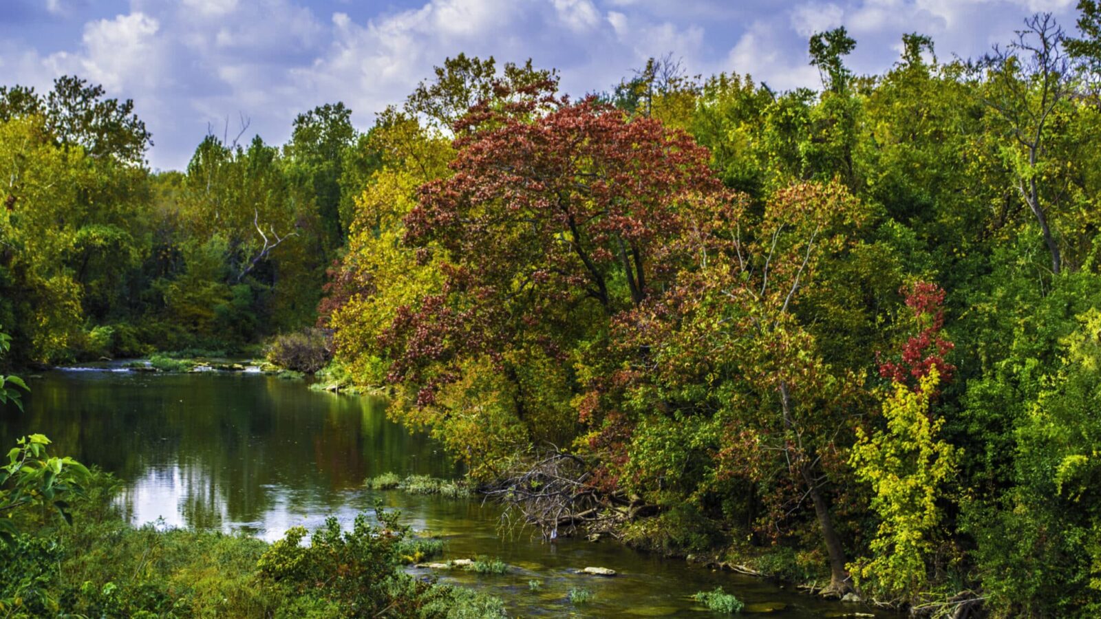 Brushy,Creek,From,The,Georgetown,Street,Bridge,,Round,Rock,Tx