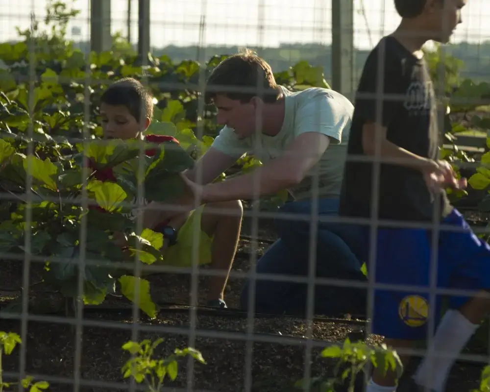 Whisper Valley Amenity (3)