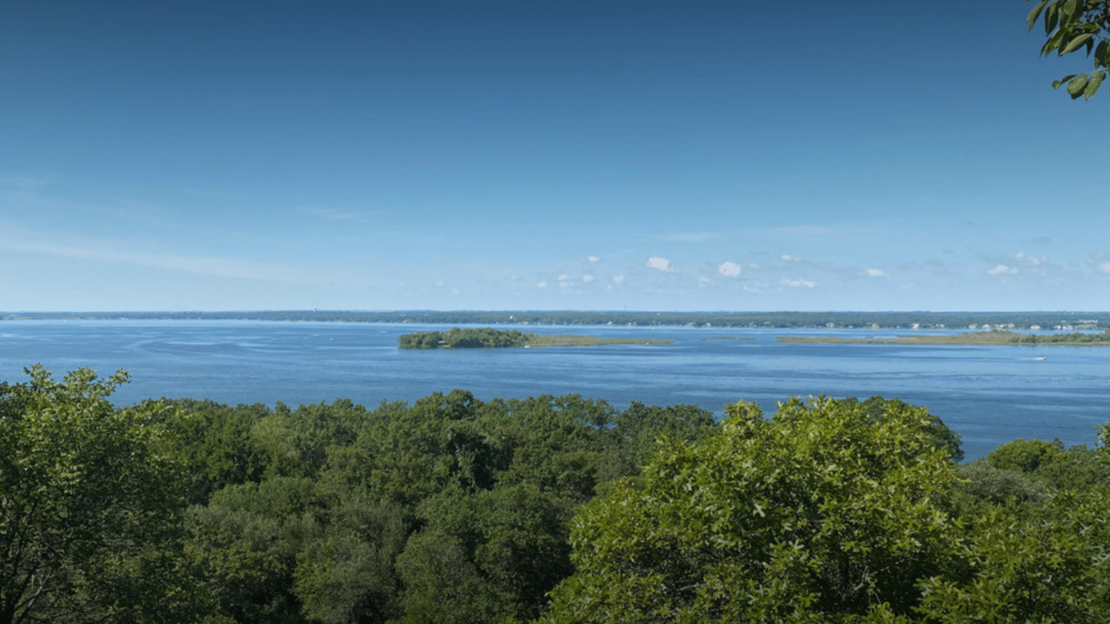 View from Cotton Creek Estate